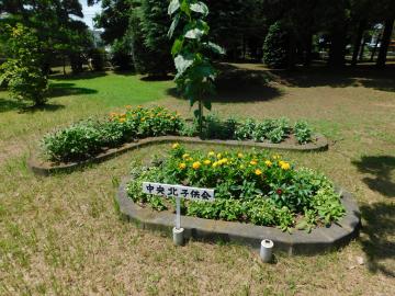 努力賞、中央北子ども会